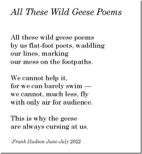 All These WIld Geese Poems text